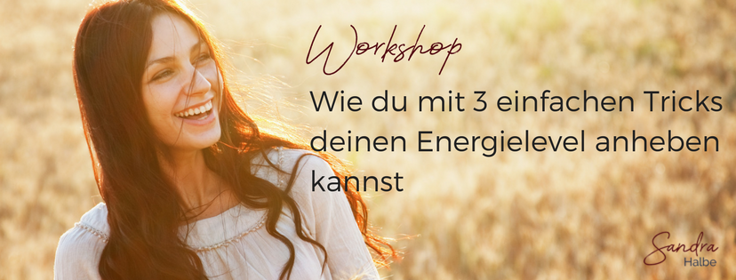 Workshop Energielevel